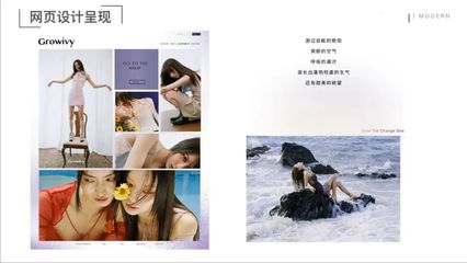 溫州大學(xué)美術(shù)與設(shè)計(jì)學(xué)院2018級(jí)視覺(jué)傳達(dá)設(shè)計(jì)專業(yè)《品牌設(shè)計(jì)